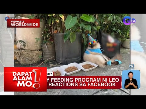 Kaarawan ng isang pusa, may pa-feeding program sa mga stray cat Dapat Alam Mo!