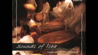 Sounds Of Isha - The Seed | Instrumental | Exuberance of the Unmanifest