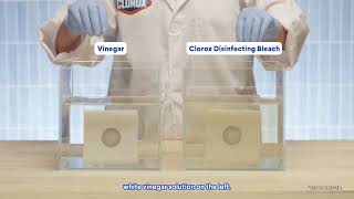 Clorox Disinfecting Bleach vs. Vinegar