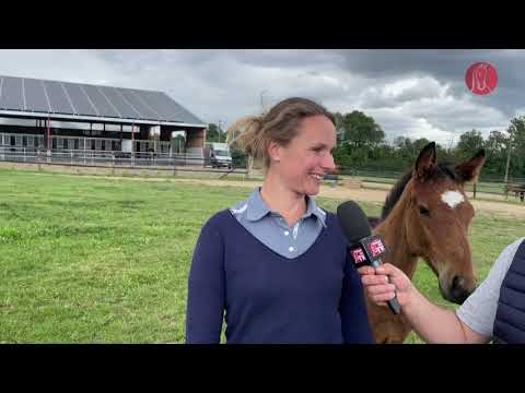 Anjou Foal Show 2021 chez Ophélie Delaunay : c'est le moment d'inscrire