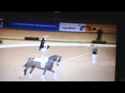 Patrick Looser - CVI Doha/Katar 2014 Pflicht