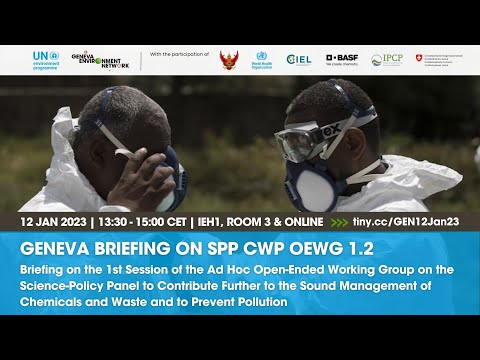 Briefing | OEWG 1.2 Science-Policy Panel on Sound Management of Chemicals and Waste and Pollution