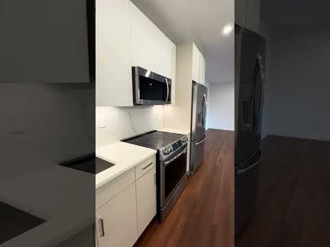 video 1