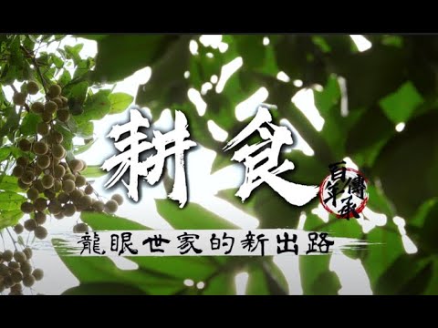 龍眼家族為世界孕育臺灣味 推動休閒農業產業六級化