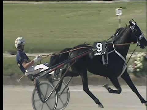 Trotto 20/05/2018 - 3ª corsa