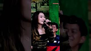 Download lagu NALANGSA - Difarina Indra Adella - OM ADELLA mp3