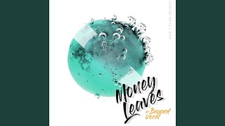 Money Leaves Music Video