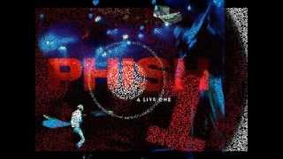 Phish - Montana