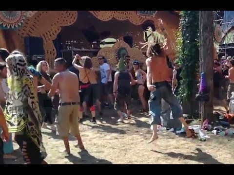 Digoa @ Ozora 2017 [RAW]