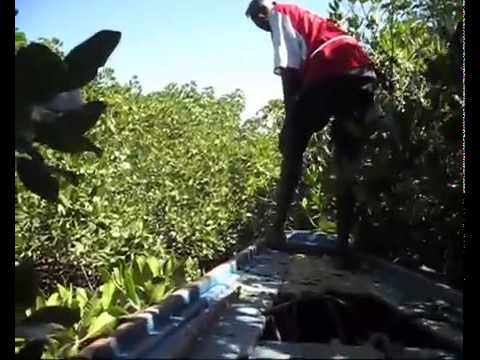 Africa Rally 2009 2010    Diario di Viaggio , vol  6   Taurinorum Travel Team