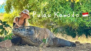 【インドネシア・コモド島】ドラゴンと共存する村のリアルな暮らし🦎