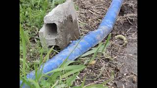 絶望米作り【番外編】ポンプでしか水が入れられないよ、、、