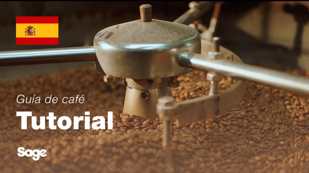 Elegir los granos de café adecuados