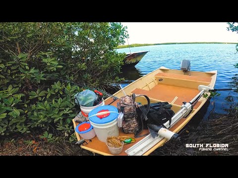 Fishing the Mangroves in Key Largo (catch and cook)