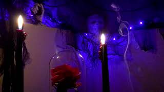 Download lagu Haunted Memory - 'My Sweetheart's Ghost' mp3 Download lagu Haunted Memory - 'My Sweetheart's Ghost' mp3