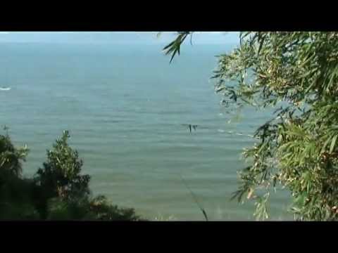 Menina Da Beira Mar video