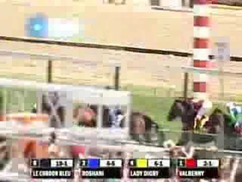 2008 Gallorette Handicap