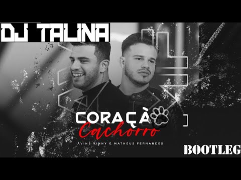 Ávine e Matheus Fernandes   Coração Cachorro (REMIX DJTALINA)