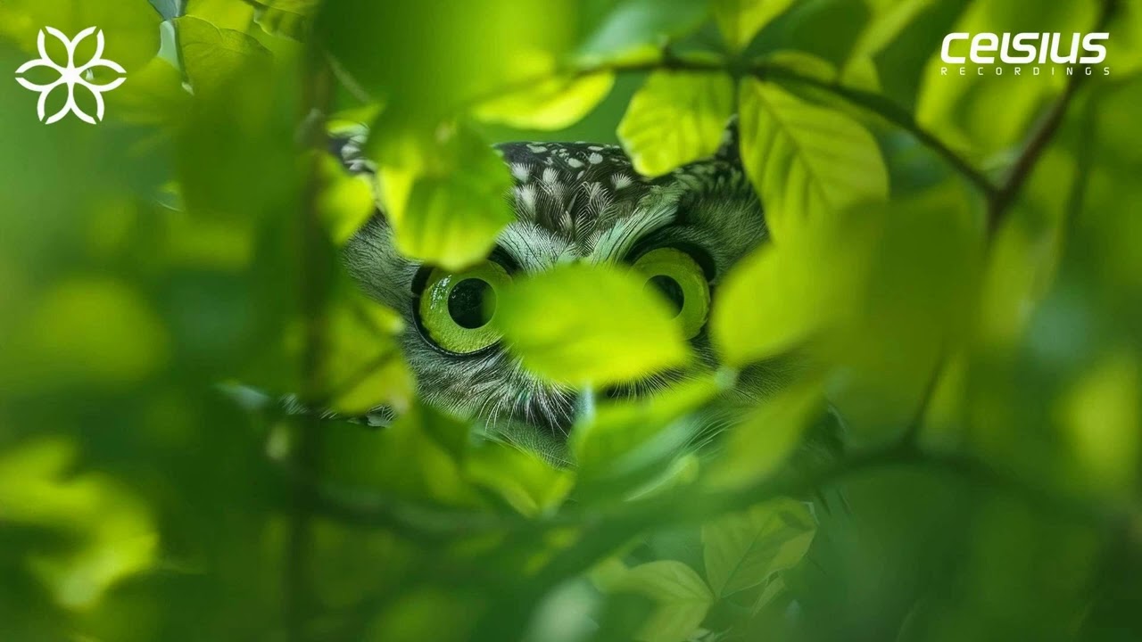 Duoscience - Something