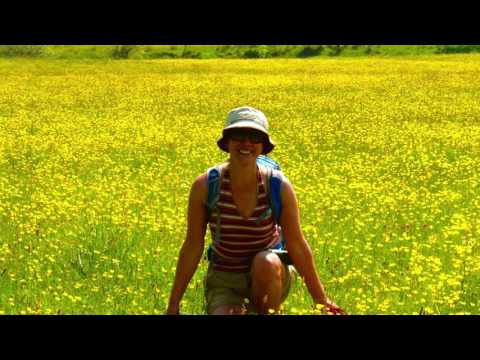 Oxenhope, West Yorkshire 05 June 2016