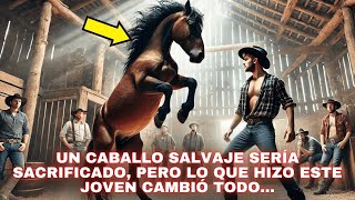 UN JOVEN HUMILDE Y UN CABALLO SALVAJE: LO QUE OCURRIÓ DESPUÉS CONMOVIÓ A TODOS…
