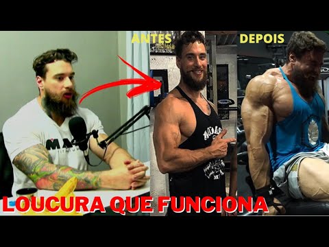 GORILA FALA SOBRE SUA ESTRATÉGIA NA DIETA