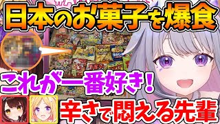 日本のお菓子をたくさん食べて満足げなビブーが可愛すぎる動画【ホロライブ/切り抜き/VTuber/ Koseki BIjou / ロボ子さん / アキ・ローゼンタール 】