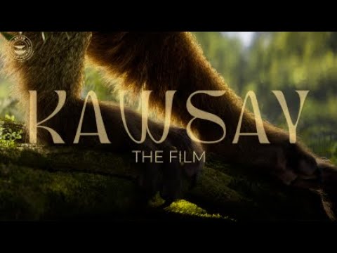 // ARTFX OFFICIAL // KAWSAY / FILM