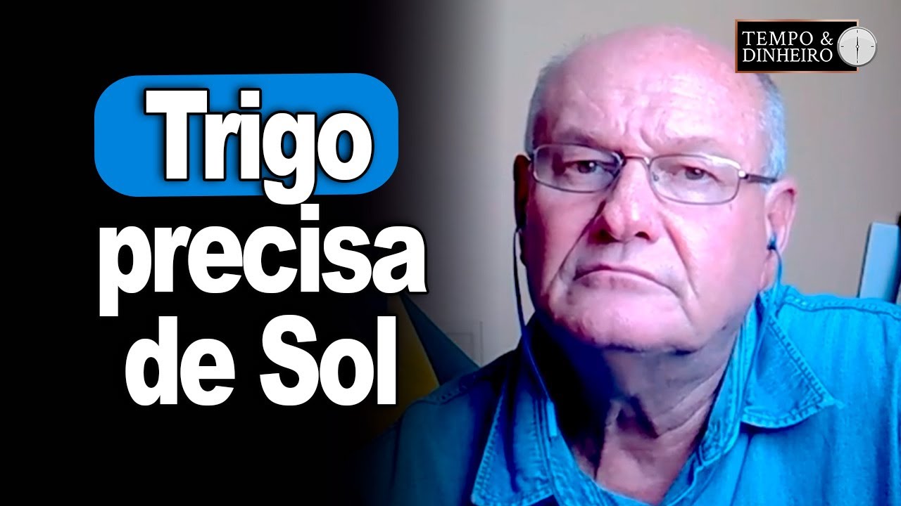 Trigo precisa de Sol, analisa Vlamir Brandalizze