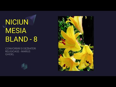 NICIUN MESIA BLAND - 8
