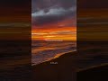 Neer Paravai Song ️Tamil Love Whatsapp Status ️ Lovewhatsappstatus Neerparavai Lyricsspot Love