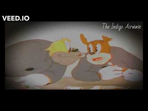 Bars & Stripes 4 Ever - Indigo Airwave