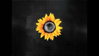 The Big Crunch Theory - What to say (Roman Flugel Remix)