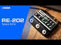 BOSS Pédale RE-202 Space Echo BOSS Pédale RE-202 Space Echo