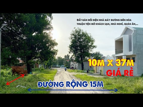  372.8m2 - video