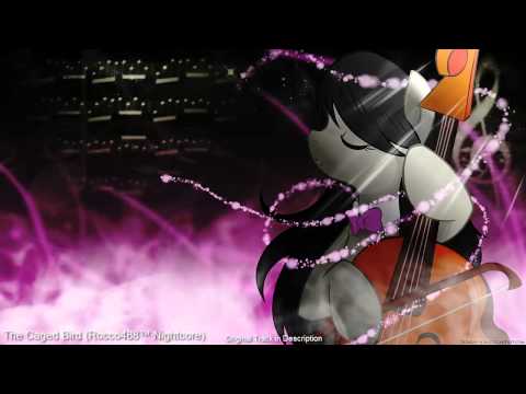 The Caged Bird Rocco488™ Nightcore