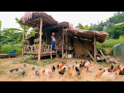 1 Year Alone in the Woods, Gardening, Chicken Farm, Video Timelapse, Building a Self-Sustained Life