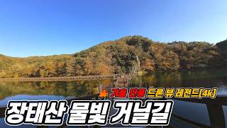 "대전 장태산 물빛 거닐길 🍁 가을 단풍 드론 뷰 레전드 (꼭 소리 켜고 보세요)"  대중교통 당일치기 여행