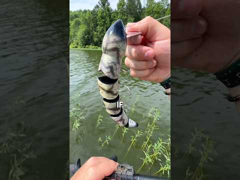 THE MOST INTIMIDATING LURE EVER MADE😨 #bassfishing #shorts #fishing