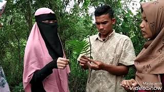 preview picture of video 'Video pembelajaran biologi STKIP Bina Bangsa Meulaboh'