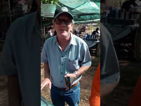 The Jerk Company: the Caribbean Kitchen video.