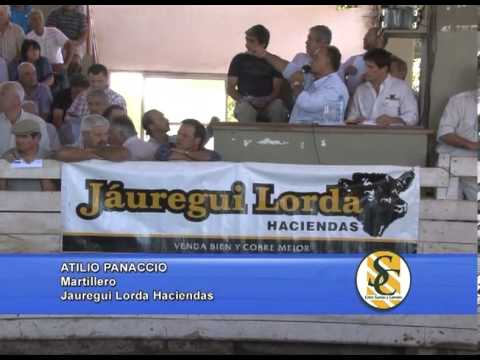 ATILIO PANACCIO - Martillero - Jauregui Lorda Haciendas