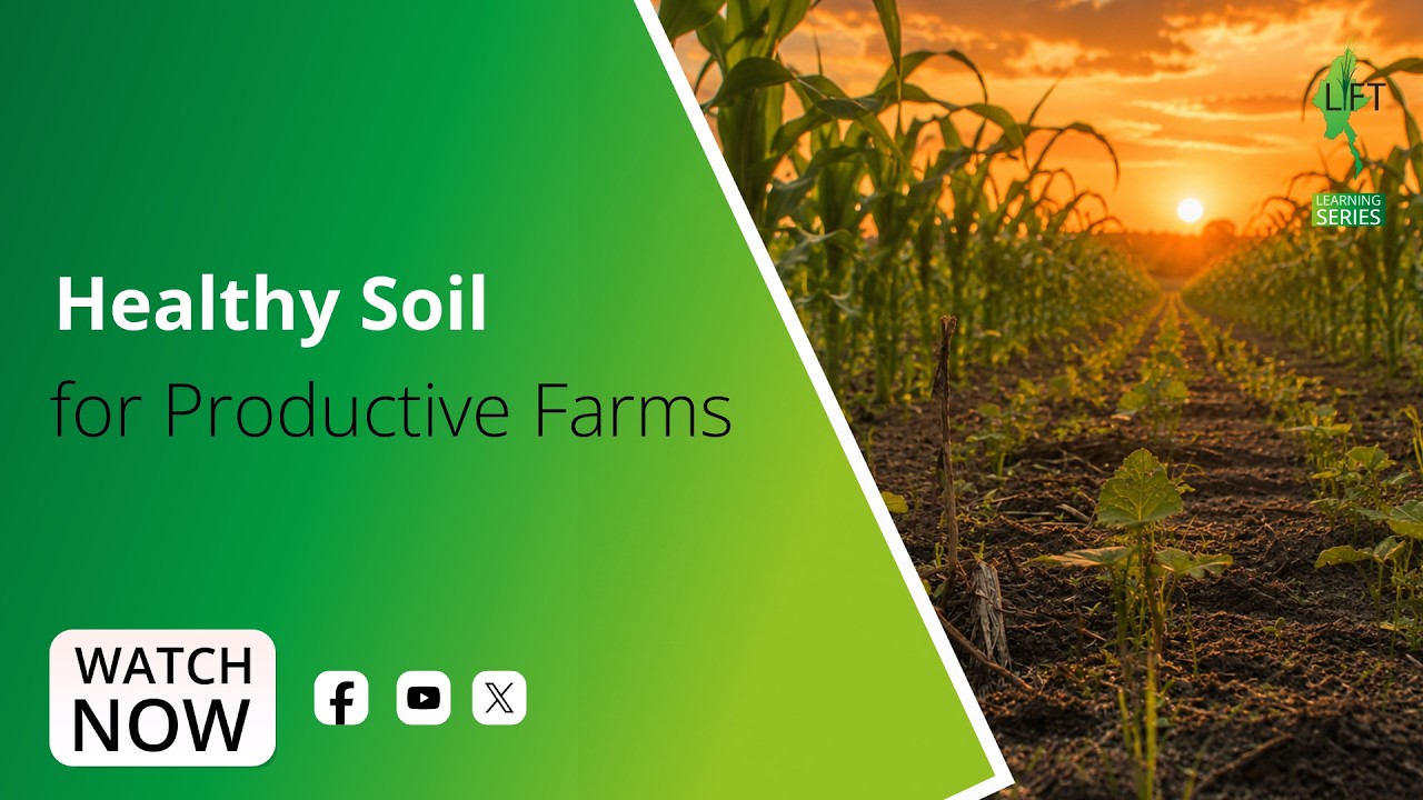 Healthy soil is the foundation of productive farms and resilient livelihoods