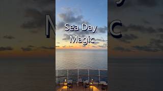 Sunrise at Sea | A Golden Goodbye on MSC Seascape #MSCSeascape #SeaDay #sunrise