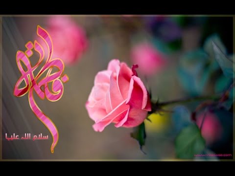 KSIMC of Milton Keynes - Sufro - 14/04/2017