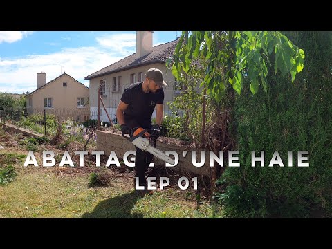 Dessouchage et nettoyage terrain Mur-sur-Allier