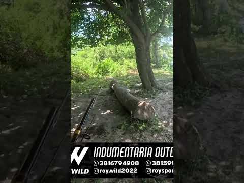 Pesca y Cocina en los Gomez, Tucumán #pesca #pescaycocina #dorados #pescaydevolucion #fishing