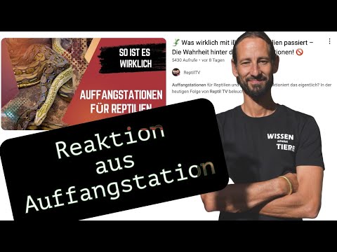 RESCUE CENTER REACTS to REPTIL TV - "The truth behind rescue centers"