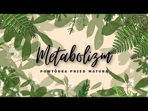 Metabolizm - powtórka przed maturą z biologii 2023