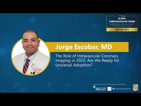 The Role of Intravascular Coronary Imaging in 2023: Are We Ready for Universal Adaptation?